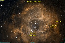 NGC 2238