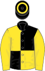 BLACK and YELLOW QUARTERED, yellow sleeves, black cap with yellow hoop