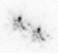 Image typique à courte pose d'une étoile binaire, vue par interférométrie des tavelures à travers l'atmosphère terrestre.