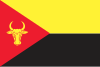 Flag of Anenii Noi