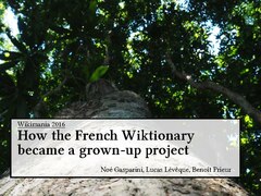 Conférence en anglais sur l’évolution du Wiktionnaire.