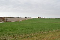 Young wheat field on Dillon Road