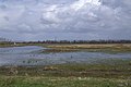 Flooded Catcott Heath.