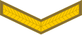 Lance corporal (South African Army)[43]