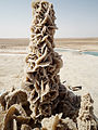 Importante formation de roses des sables, Tunisie.