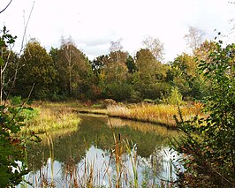 Het Venneke in de herfst