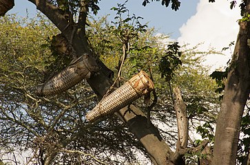 Ethiopia