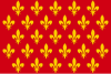 Flag of Prato