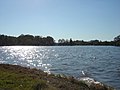 University Lake at Baton Rouge Beach looking toward Louisiana State University John M. Parker Agricultural Coliseum