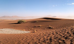 Ondulations dans les dunes entre Sossusvlei et Dead Vleidans le parc national de Namib-Naukluft. Mai 2019.