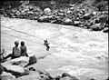 Seilbrücke in Nepal (1936)