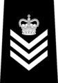 Staff sergeant (Vancouver Police Department)[52]