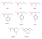 GABA analogues