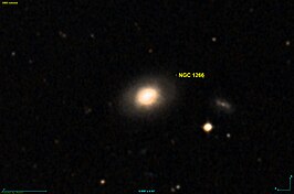 NGC 1266