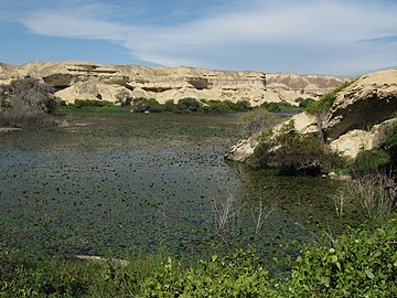 Namibe desert oasis, Angola