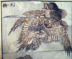 Hokusai tengu.jpg