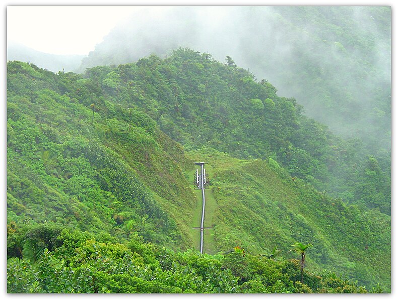 File:Hydro-Electric Pipe line,Dominica (2634815387).jpg