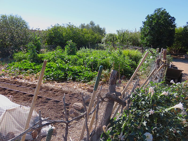 File:Spanish Colonial area at Mission Garden (Tucson).jpg