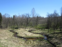 Garūdenes upīte, skatoties no Jelgavas—Liepājas dzelzceļa, netālu no Kandeļiem