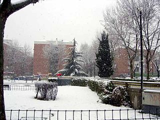 A park in a snowing day