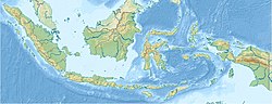 Borneo (Kalimantan) (Indonezio)