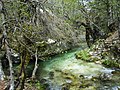 National Park of Abruzzo