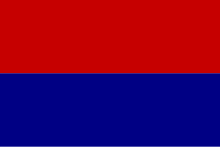 ROU SM Carei Flag.svg