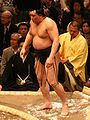 70. Yokozuna Harumafuji (doğum adı: Davaanyam Byambadorj)