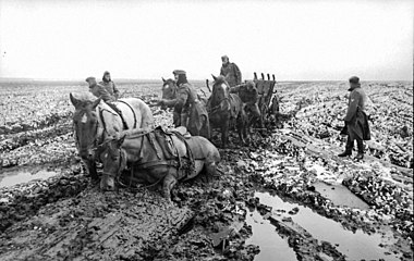 Wehrmacht hestevogn sidder fast i det dybe mudder, marts-april 1942