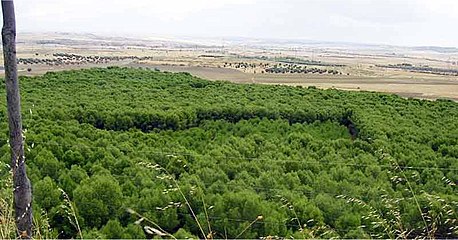 Field of Getafe