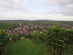 Skyline of Pfaffenweiler