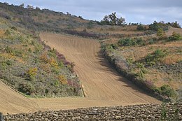 Cazals-des-Baylès – Veduta