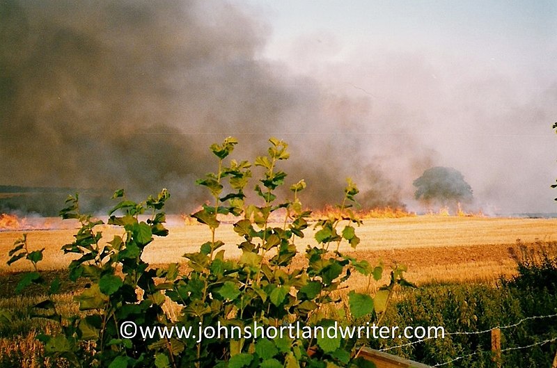 File:Harvest Home- Stubble Burning (3871102283).jpg