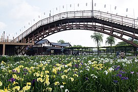 Suigō Itako Iris bogʻining koʻrinishi