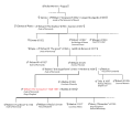 Arborele genealogic al lui William Cuceritorul