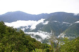 Yungas in Bolivien