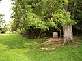 The marker stone at the official source of the River Thames named Thames Head near Kemble