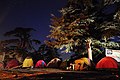 Bivouac dans le Parc National de Theniet El Had