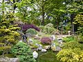 Japanse tuin