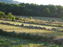 Bocage en Galicia.JPG