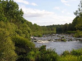 Die Venta-rivier in Litaue.