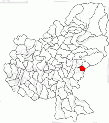 Location in Mureș County