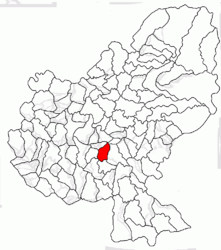 Location in Mureș County