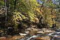 Montsenyko Parke Naturala udazkenean.