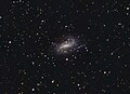 NGC 925.