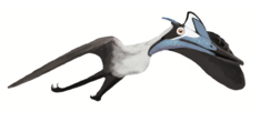 Life reconstruction of Pterodactylus antiquus