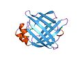 Thumbnail for File:PDB 1o8v EBI.jpg