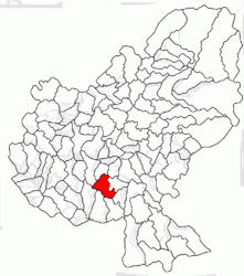 Location in Mureș County