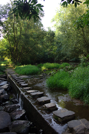 Weir with Step-stone bridge in Altenburg