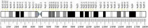 Cromosoma 5 (humà)